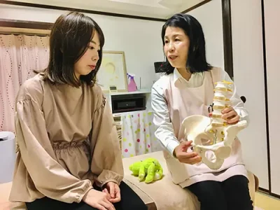 骨盤の説明