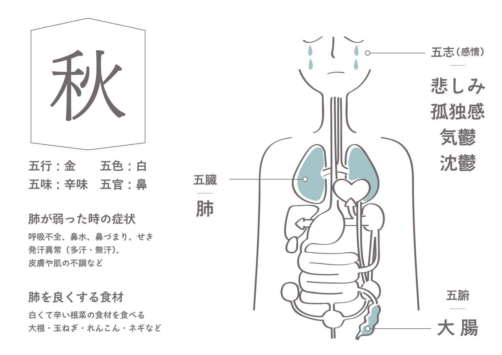 秋